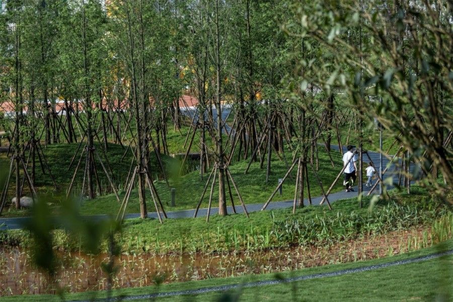 儿童游乐设施厂家-深圳爱嘟嘟专业定制生产各类游乐设备 儿童游乐设施厂家-深圳爱嘟嘟专业定制生产各类游乐设备