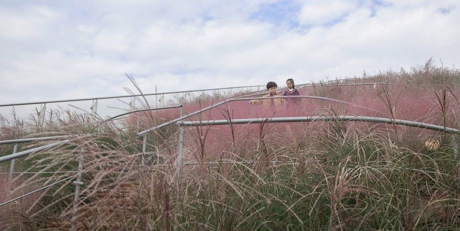 户外无动力乐园建设指南-专业规划与设计要点-2025年最新建造标准 户外无动力乐园建设指南-专业规划与设计要点-2025年最新建造标准