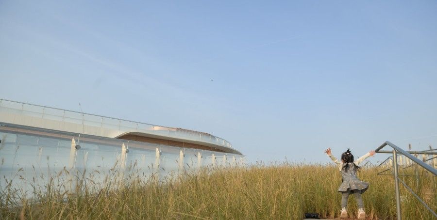 无动力游乐设备户外价格全面解析-2025年最新采购指南 无动力游乐设备户外价格全面解析-2025年最新采购指南