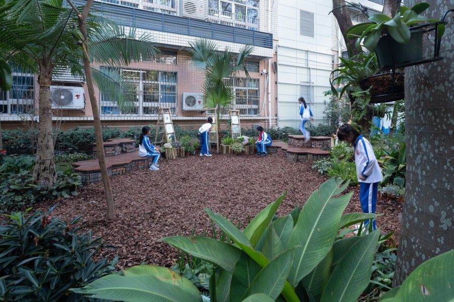 儿童户外无动力游乐设备-安全环保耐用的自然游戏解决方案 儿童户外无动力游乐设备-安全环保耐用的自然游戏解决方案