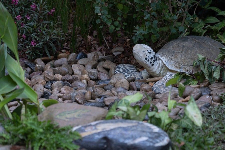 室外游乐设备厂家-专业儿童游乐设施生产商-爱嘟嘟2025年品质保障 室外游乐设备厂家-专业儿童游乐设施生产商-爱嘟嘟2025年品质保障
