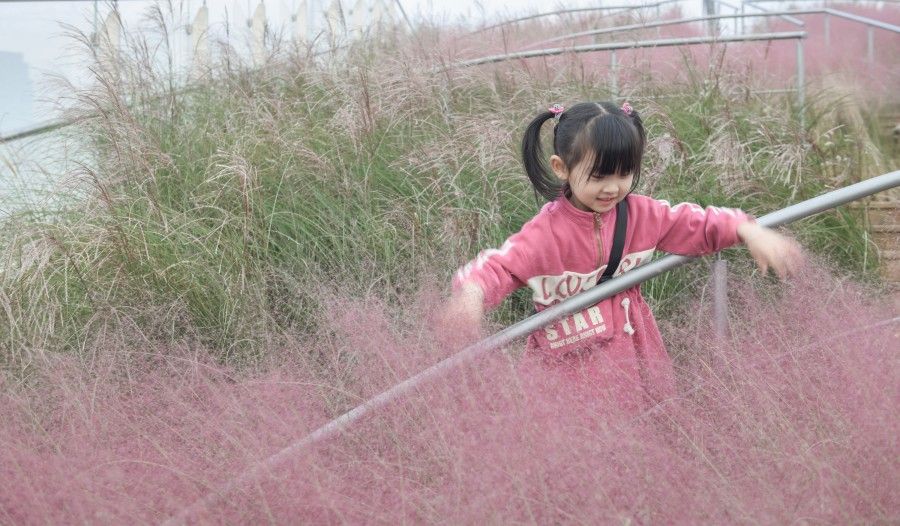 大型游乐园设备厂家-专业游乐设施生产商选择指南-2025年最新推荐 大型游乐园设备厂家-专业游乐设施生产商选择指南-2025年最新推荐