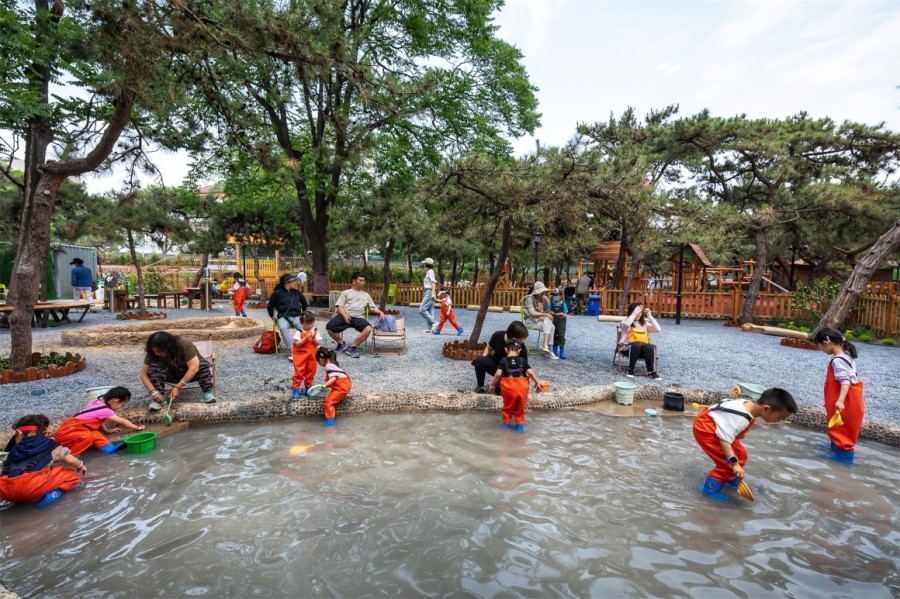 户外大型无动力游乐设施 - 专业设计与安全标准完全指南 户外大型无动力游乐设施 - 专业设计与安全标准完全指南