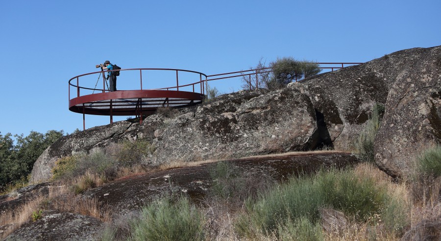 户外无动力大型游乐设备全指南-2025年儿童安全乐园建设必看 户外无动力大型游乐设备全指南-2025年儿童安全乐园建设必看
