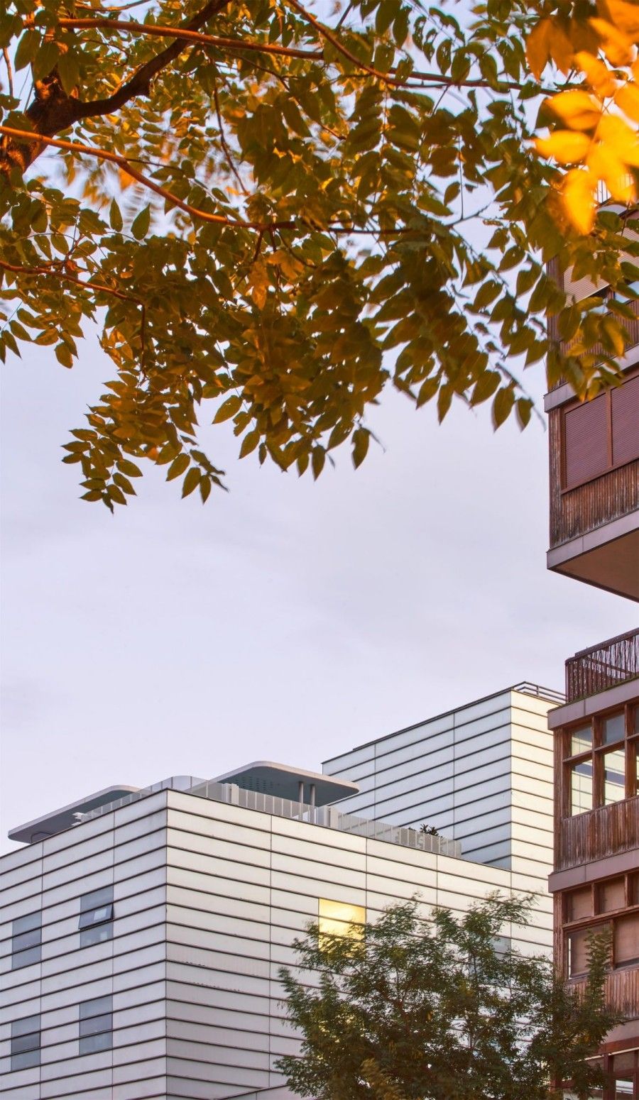 户外大型无动力游乐设备厂家-儿童户外游乐设备选购指南-专业公园无动力设施推荐 户外大型无动力游乐设备厂家-儿童户外游乐设备选购指南-专业公园无动力设施推荐