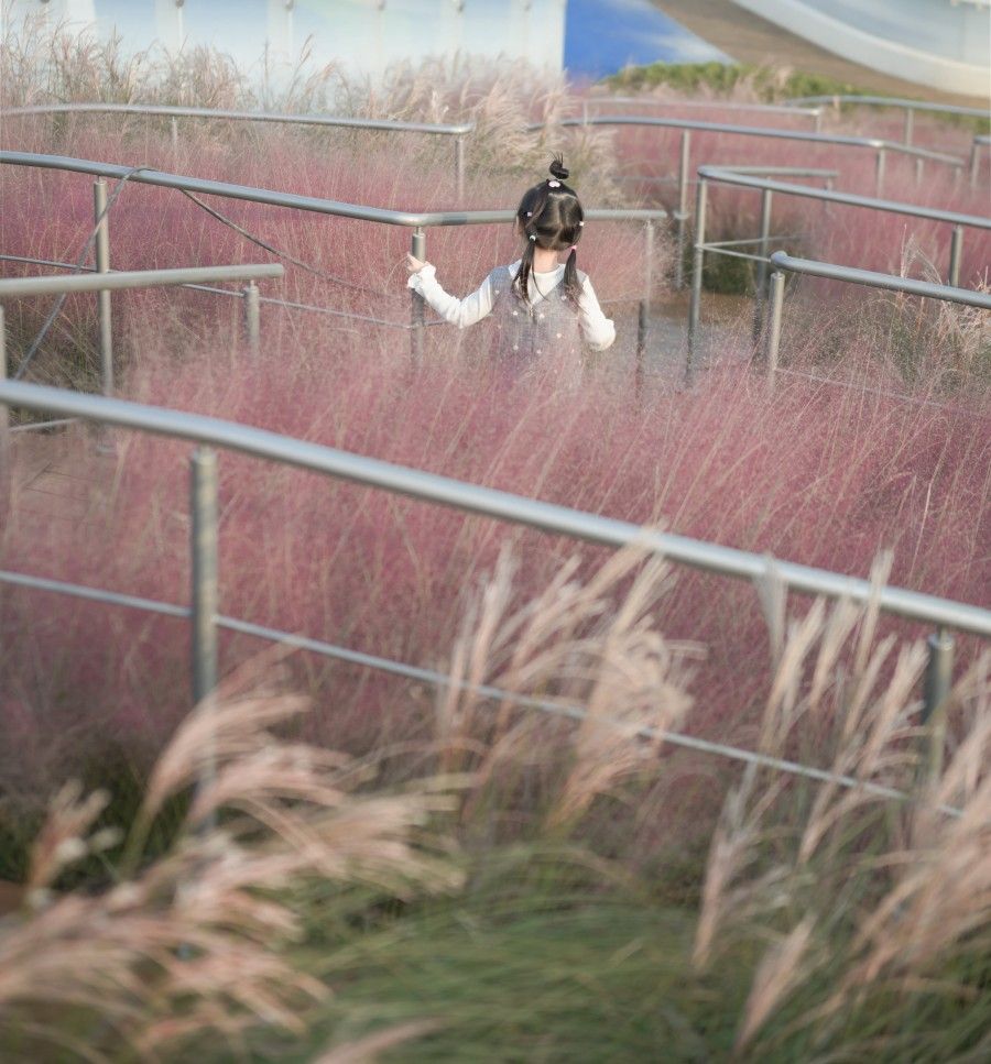 室内游乐园设备生产厂家-专业定制儿童乐园设备解决方案-深圳爱嘟嘟 室内游乐园设备生产厂家-专业定制儿童乐园设备解决方案-深圳爱嘟嘟